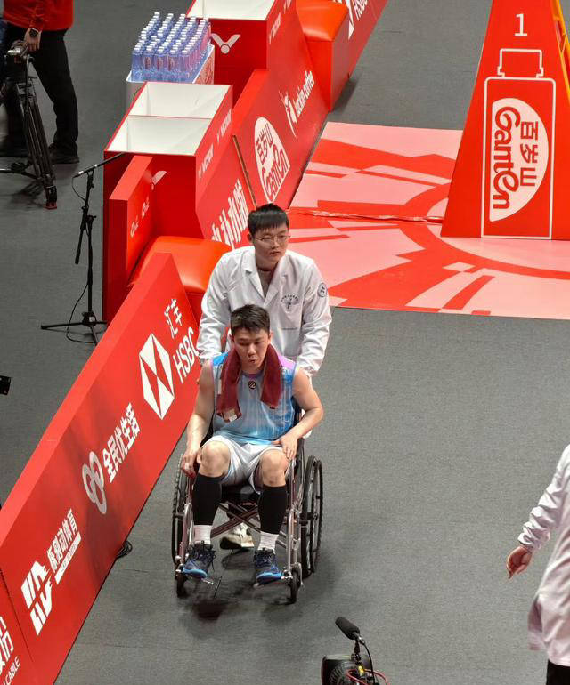 德国队轻取法国队，李梓嘉点燃赛场的简单介绍