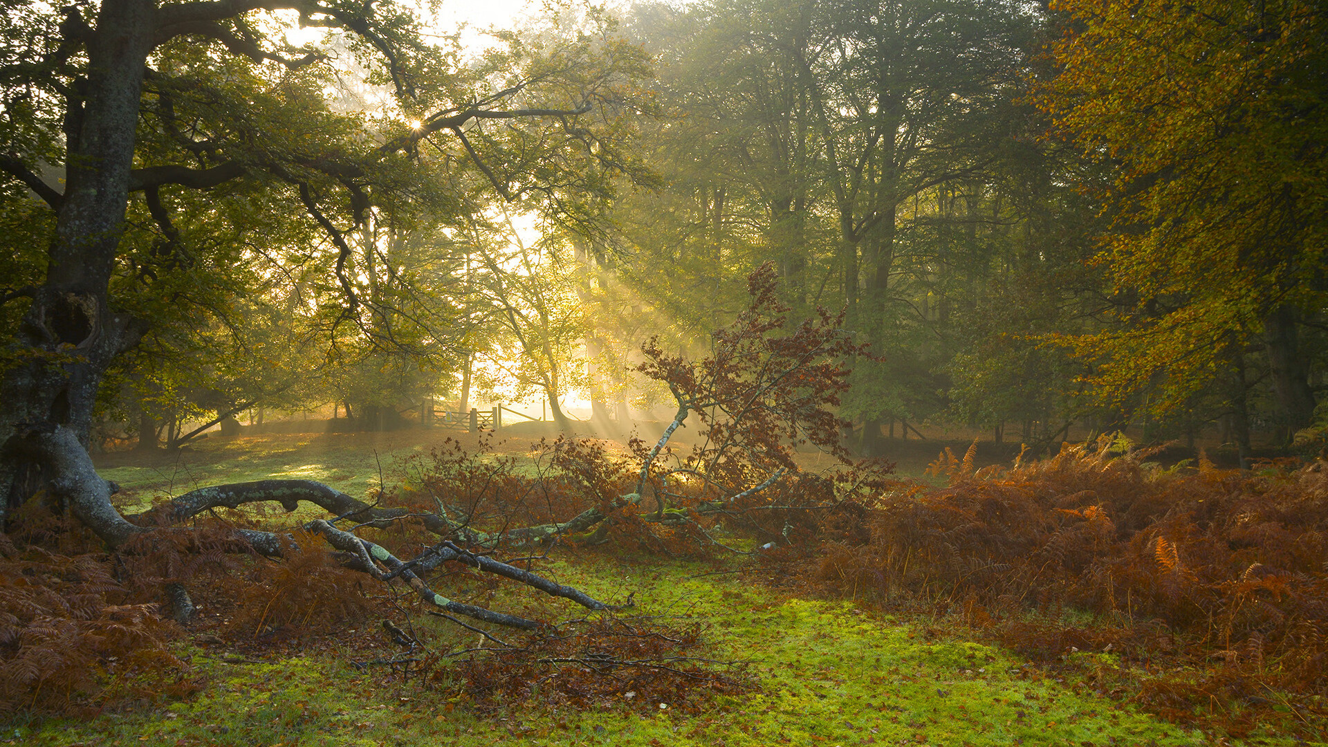 攻陷黄金一代堡垒，哈弗茨全程高能输出导演惊天逆转