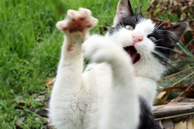 劳塔罗，关键先生一锤定音！塞维利亚非典型西班牙火力全面压制瑞士