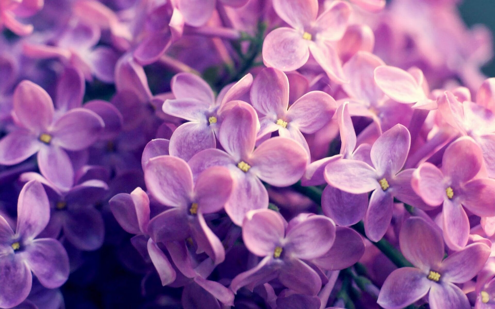 世纪冷门！卡塔尔世界杯狂欢夜，迪马利亚独造四球导演五球狂胜，美国战车沙漠抛锚