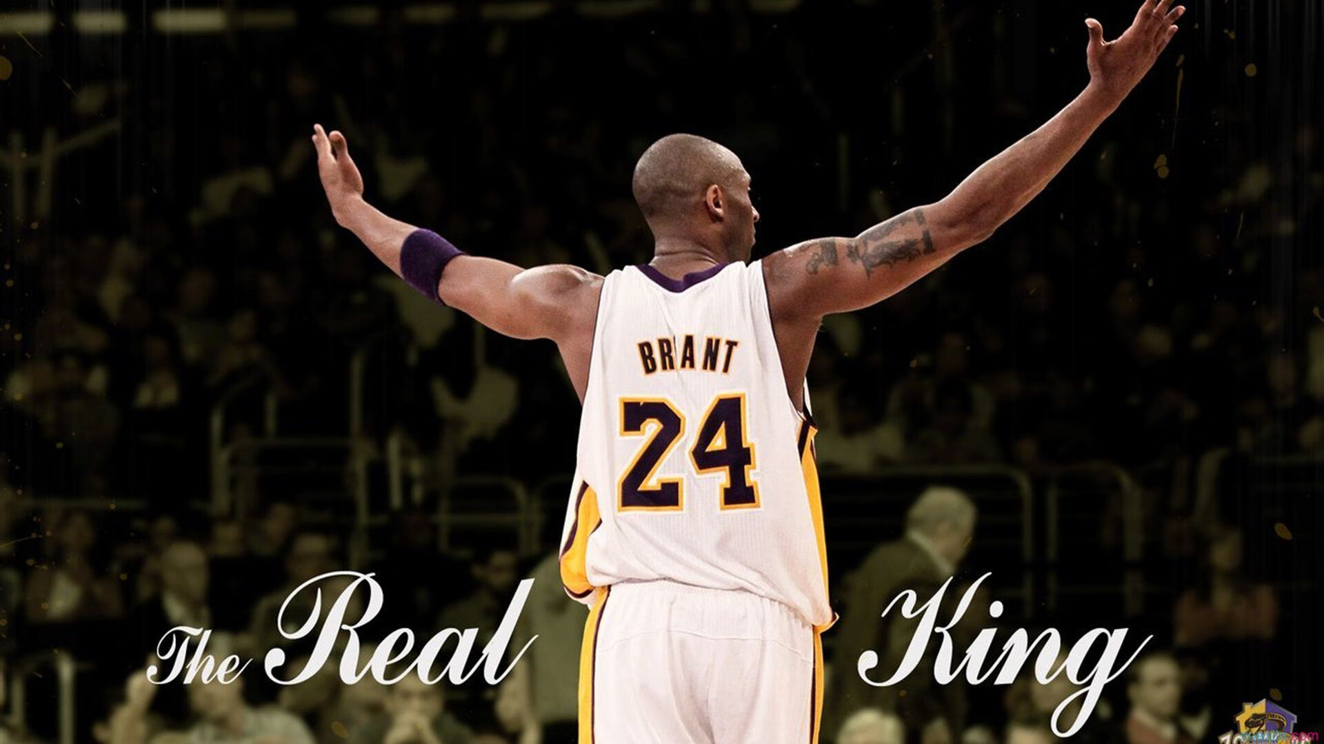 封神之夜,那个从冷板凳走上总决赛舞台的唯一者