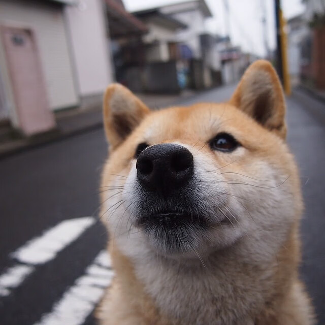 开云体育入口-征服者与国王，当团队绞杀个人英雄，篮球给出终极答案