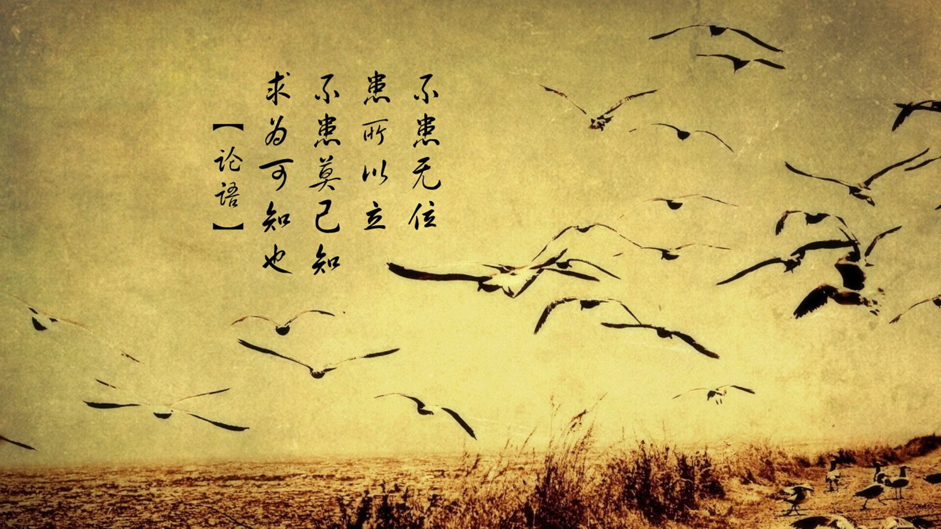 唯一的夜晚,当拉什福德在C组重写日耳曼战车的命运