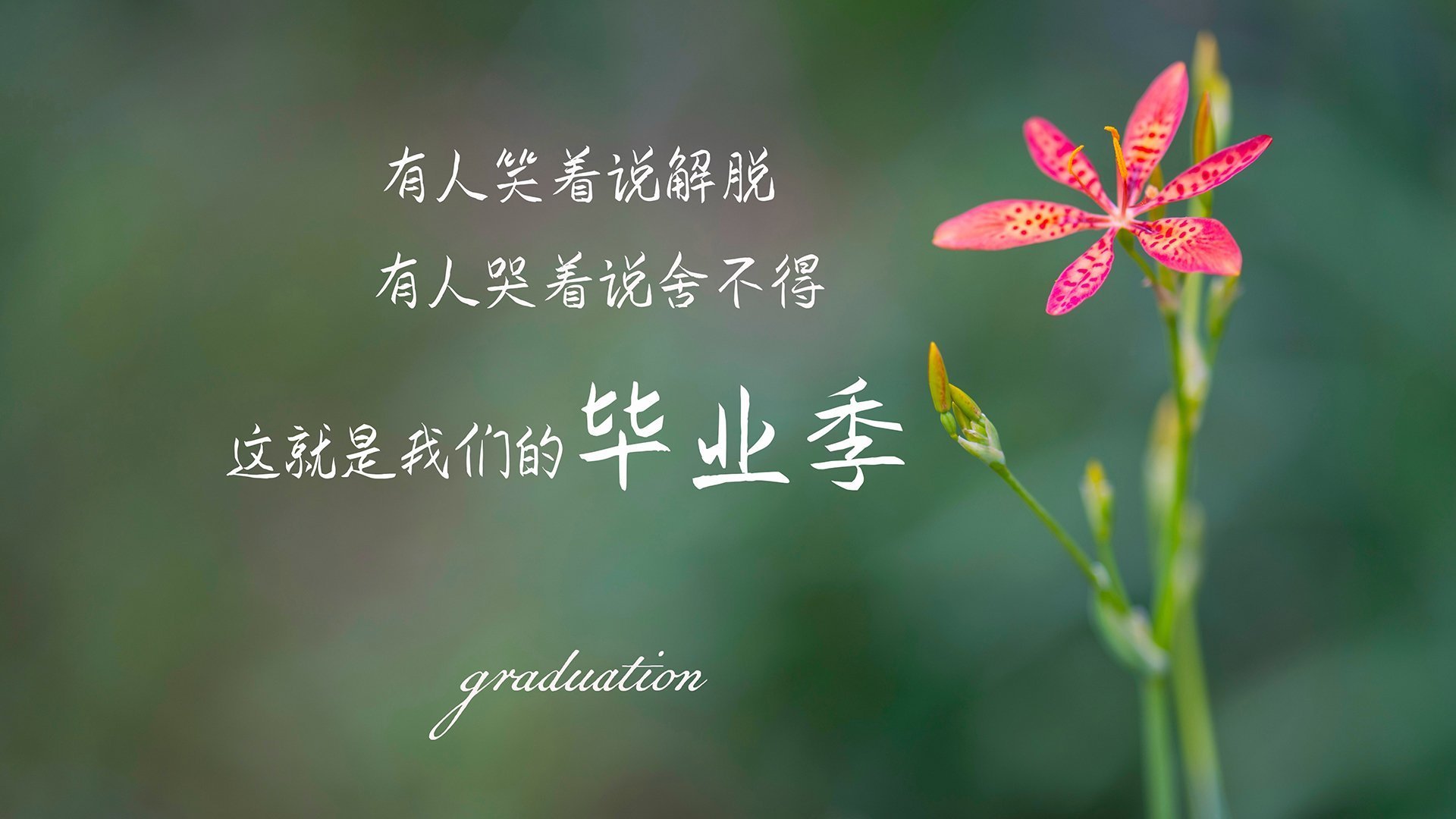 命运的唯一转折，2026世界杯F组生死战，乌拉圭逆转乌兹别克斯坦，德容铸就永恒传奇